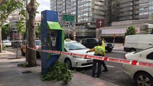 El fuerte viento ha provocado el desprendimiento de una gran rama de un árbol que se encuentra a la altura de una parada de taxis de la calle Princesa.