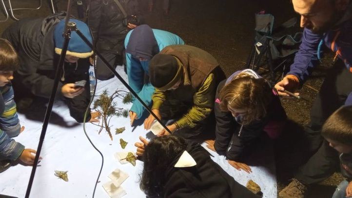 Una de las salidas nocturnas para encontrar a la mariposa isabelina.