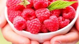 Elimina la grasa corporal con la cetona de frambuesa