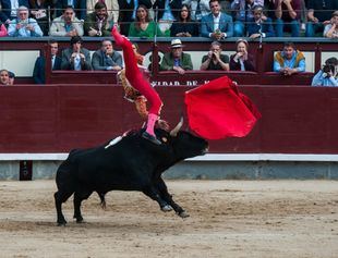 Grave cogida a Gonzalo Caballero en Las Ventas
