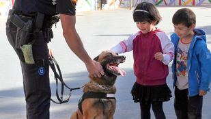 Intervención de niños con TEA junto a perros