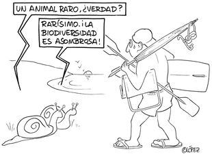 ¡Houston, tenéis un problema! : humor gráfico por el planeta