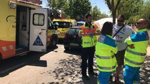 Fallece un hombre tras caerle encima una rama mientras podaba