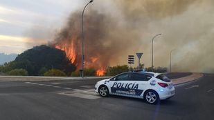 Un incendio calcina varias hectáreas de vegetación en Pinar de Arroyomolinos