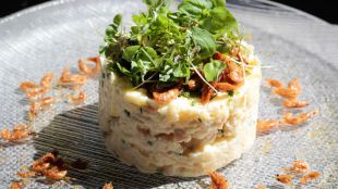 Ensaladilla para todos los gustos