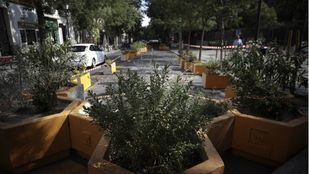 Retirados bancos y jardineras para revertir la peatonalización