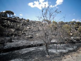 El 'factor humano', detrás del fuego de Cadalso y Cenicientos