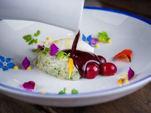 Bacira. Cinco años, 'todo al cinco', cinco días