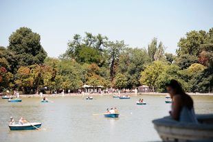 El Retiro registra hasta un 50% menos de contaminación que las calles que lo rodean