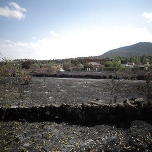 Extinguido el incendio de Cadalso y Cenicientos: 2.183 hectáreas afectadas
