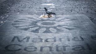 El nuevo modelo "consensuado" se debatirá el 30 de julio