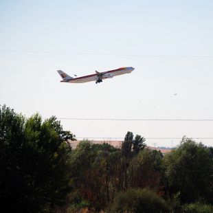 Hallado un feto momificado en un avión: analizan si es humano o un simio