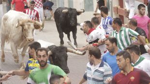 Vuelven los toros a Pinto