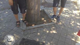 Los promotores de la obra mantenían a cinco trabajadores chinos sin contrato ni seguridad laboral.