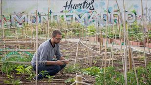 Huerto de la Fundación Montemadrid.