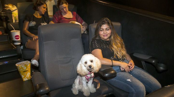 Sesión de cine petfriendly en el estreno de Mascotas 2
