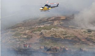 Un piloto de helicóptero salva a 27 caballos del incendio en Guadarrama
