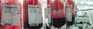 Las reservas de cinco grupos sanguíneos, en alerta roja
