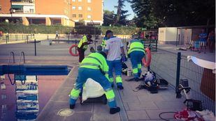 Reaniman a un hombre de 76 años tras ahogarse en una piscina en Alcorcón