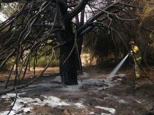 Emergencias pide extremar la precaución por el temporal