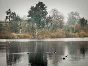 La riada de Arganda deja al descubierto un pie seccionado