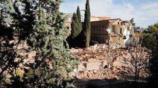 Los 500 árboles del convento de las Damas Apostólicas, otra vez en peligro