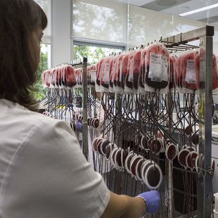 Los hospitales necesitan donaciones urgentes de tres grupos sanguíneos