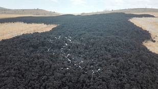 El vertido de lodos, un problema que asfixia a la Comunidad