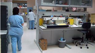 Empleo, educación y sanidad: los ámbitos que más preocupan a los madrileños