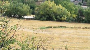 Nuevo Baztán y Villar del Olmo pedirán la declaración de zona catastrófica