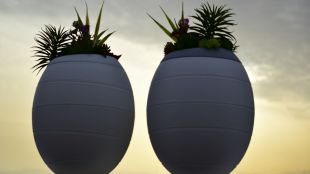 El vacío legal en Madrid sobre el esparcimiento de cenizas de difuntos