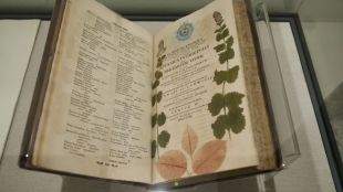 Regnum vegetabile : las curiosidades de la ciencia en el Jardín Botánico