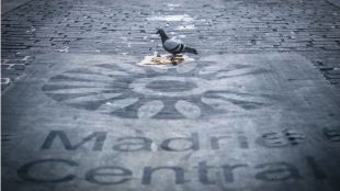 Madrid 360 multiplicará "por doce" el número de coches que pueden entrar al centro