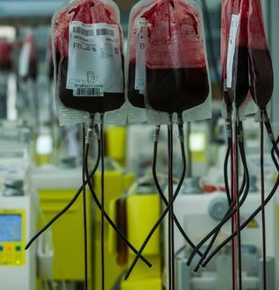 Urgen las donaciones de sangre 0+ y B-