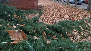 Aviso amarillo en la Sierra por fuertes rachas de viento