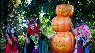 Cuatro pasajes del terror exclusivos y espectáculos musicales en Parque Warner