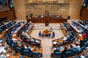 La exhumación, en el Pleno: "Se está consumando la última traición al legado de la transición"