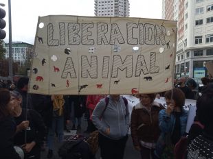 Animalistas piden el fin del especismo en una concentración pacífica por Gran Vía