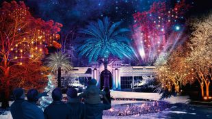 Navidad en el Jardín Botánico: un paseo nocturno de luces y flora