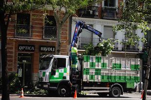 Comienza la campaña de la poda en los 21 distritos de la capital