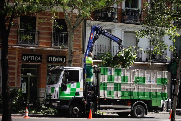 Comienza la campaña de la poda en los 21 distritos de la capital