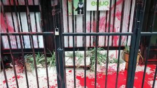 Equo denuncia un nuevo ataque a su sede de Madrid