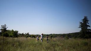 Fundación Montemadrid y Bankia destinan 200.000 euros a 11 proyectos ambientales de Madrid y Castilla-La Mancha