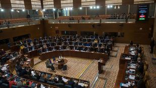 La Asamblea, con el rechazo de Vox, pide que se desarrolle el Pacto de Estado contra la violencia de género