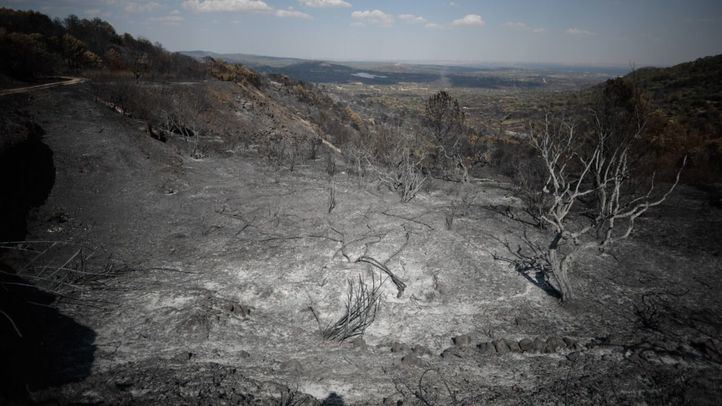Tierra y vegetación quemada tras el incendio en Cadalso de Los Vidrios.