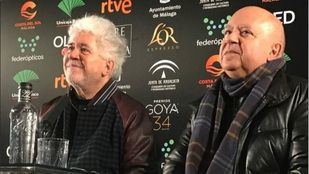 Nominaciones para los Premios Goya 2020: Amenábar se impone a Almodóvar