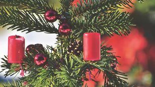 Consejos para salir ilesos de las fiestas navideñas