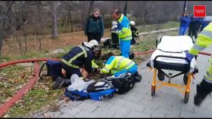 Los Bomberos rescatan a un perro atrapado en un incendio en Alameda del Valle