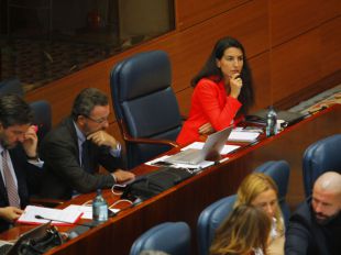 Vox presenta una enmienda a la totalidad a la bajada de impuestos de Ayuso