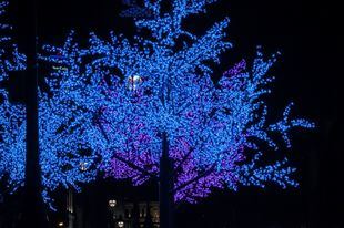 Navidad en San Sebastián de los Reyes: un tobogán de hielo y varios 'food trucks'